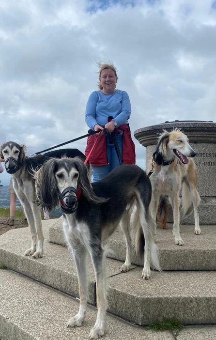 Dog Walking Services Covering Bromsgrove, Redditch, Wychbold, and Solihull